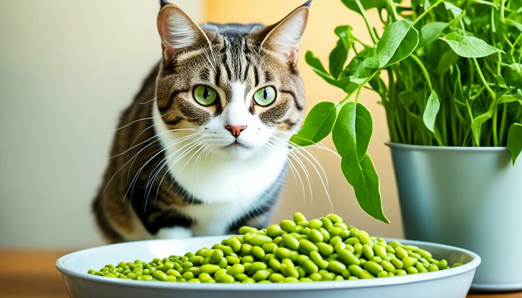 大豆在貓咪飲食中的作用：營養與安全性探討