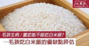 could weak pet eat rice?